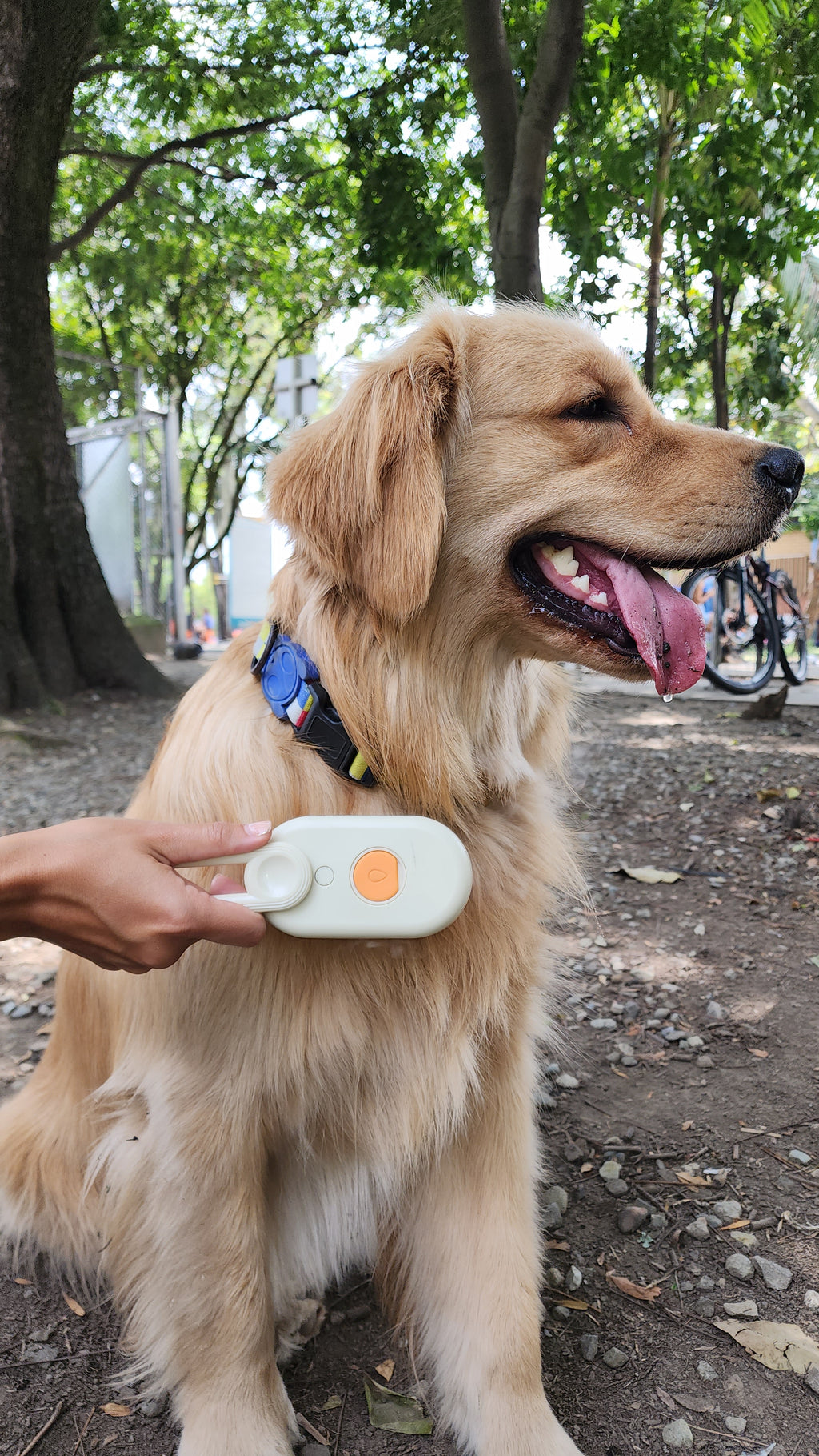 Cepillo vaporizador para perros y gatos